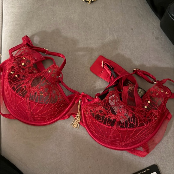 Honey Birdette Other - Honey Birdette Red Lace Bra